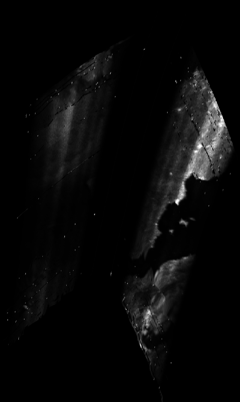 ascat_grayscale_proj_forward.png